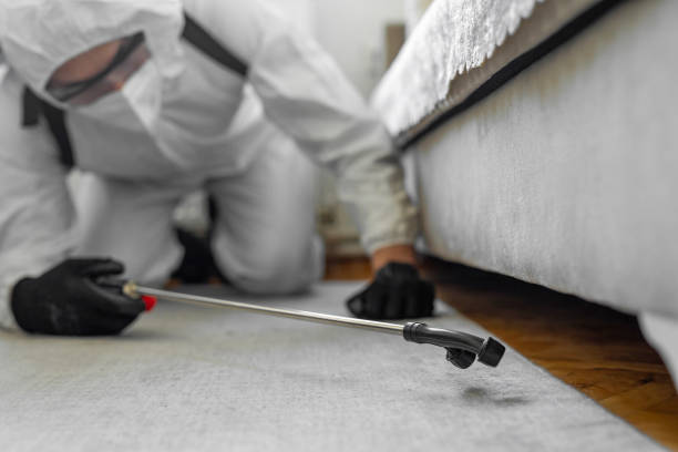 Professional Termite Control technician working in Marmet, WV