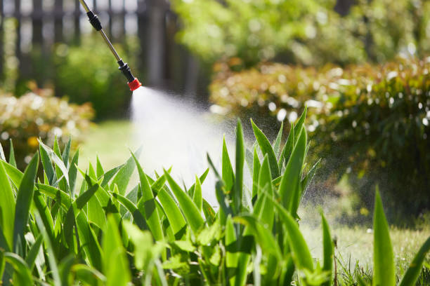 24/7 Emergency Termite Control experts in Marmet, WV