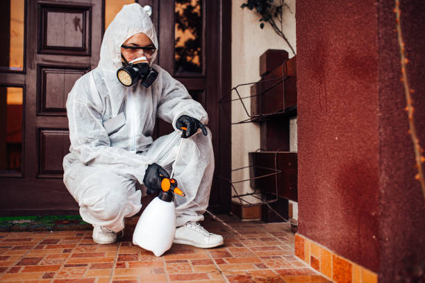 Reliable Termite Control contractor in Marmet, WV by Nex Pest Control